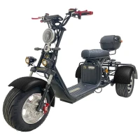Электроскутер трехколесный CITYCOCO GT X11 PRO TRIKE 2024 Карбон
