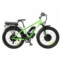 Электровелосипед Elbike Phantom Twix 2000 Зеленый